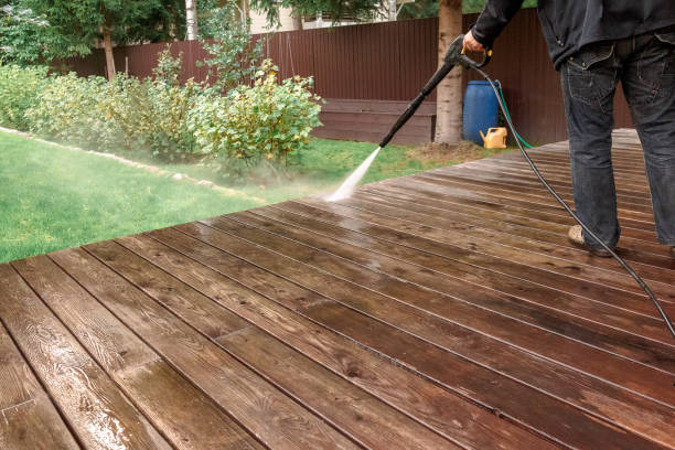 Best Rust Removal  in Lutz, FL